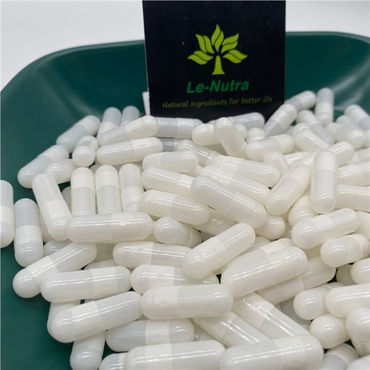 White TiO2 Free HPMC Capsule